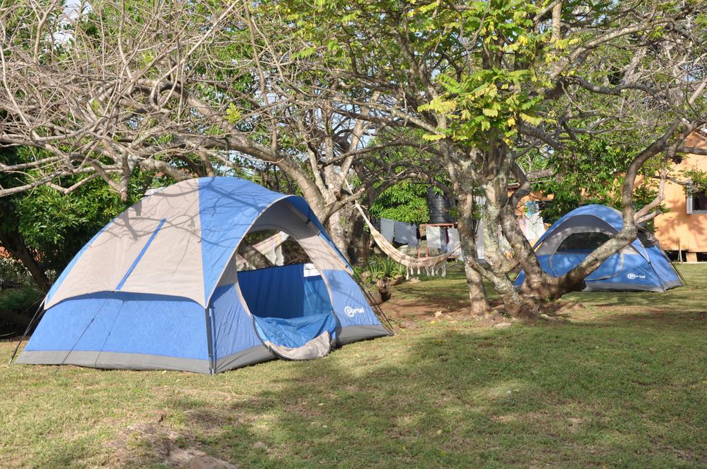 Fish Tobago Guesthouse Buccoo Экстерьер фото