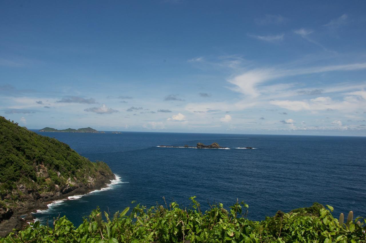 Fish Tobago Guesthouse Buccoo Экстерьер фото